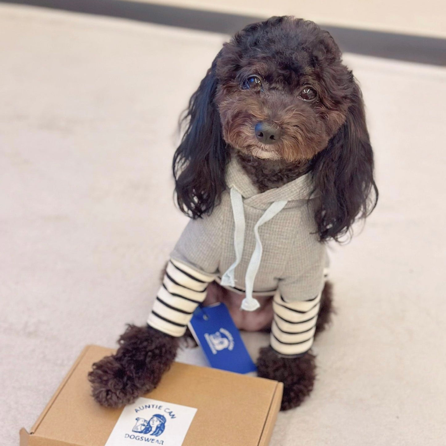 Waffle Hoodie | Small Doggies