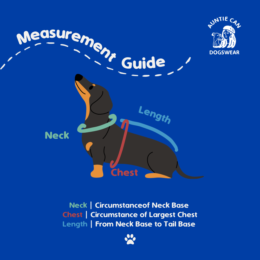 Zoomies | Dachshund | Dogswear