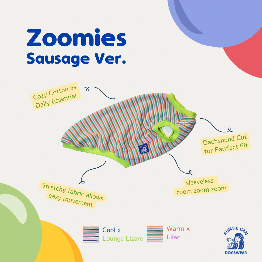 Zoomies | Dachshund | Dogswear
