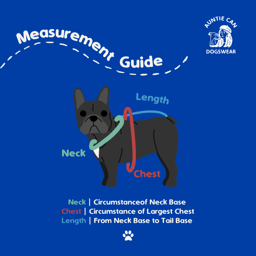 Zoomies Signature | Frenchie