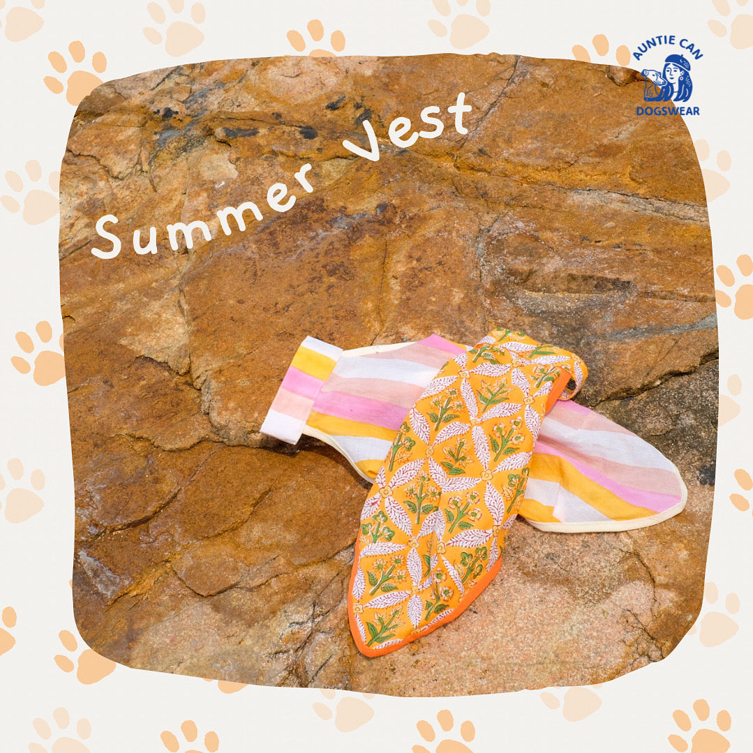 Offshore Summer Vest | Italian Greyhound