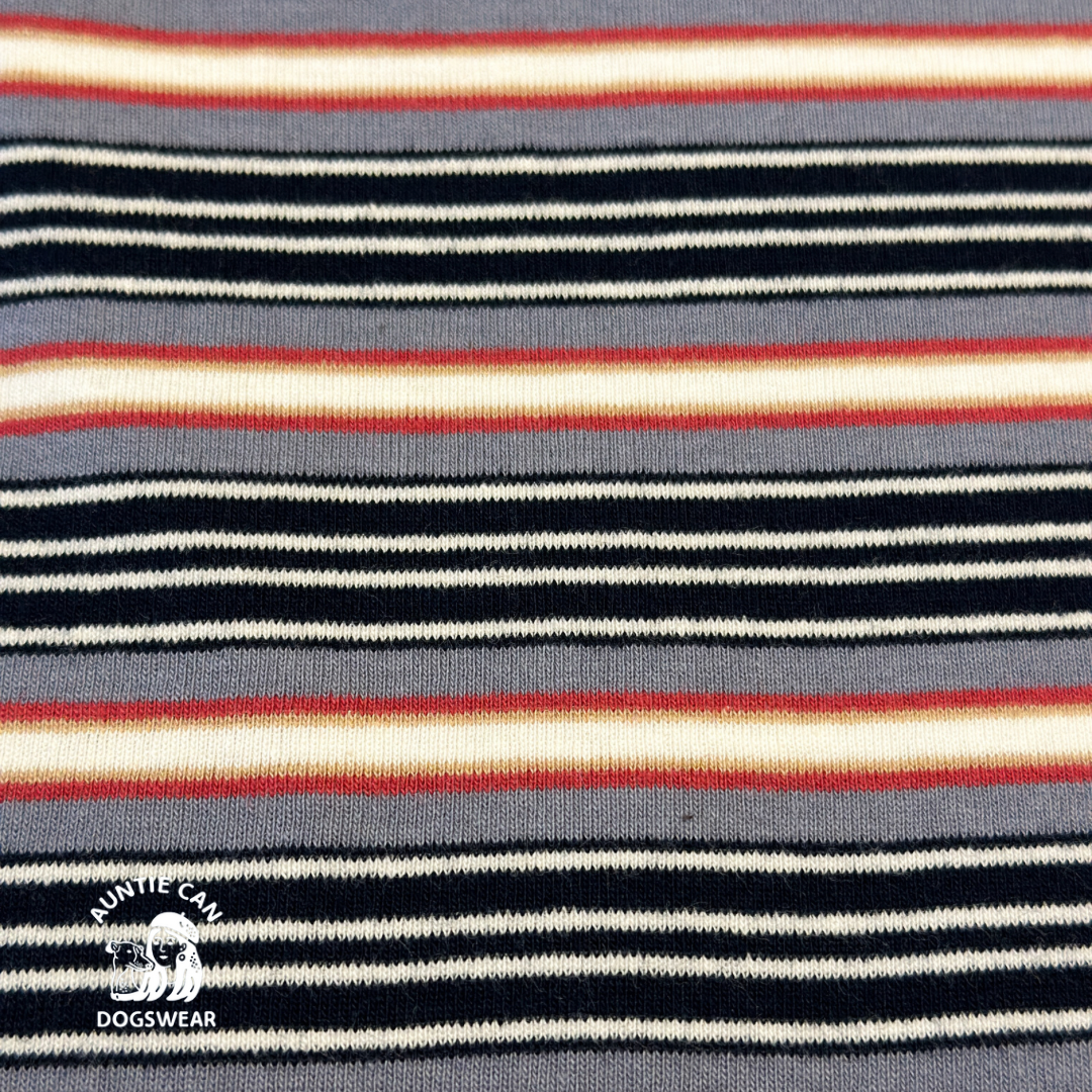CAN-T STRIPES S | Italian Greyhound