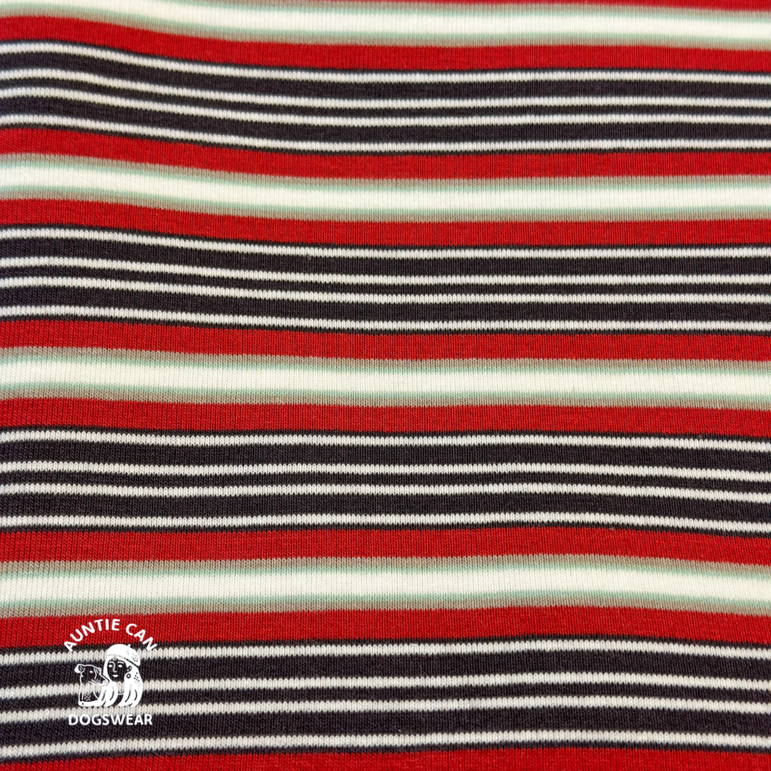 CAN-T STRIPES S | Italian Greyhound