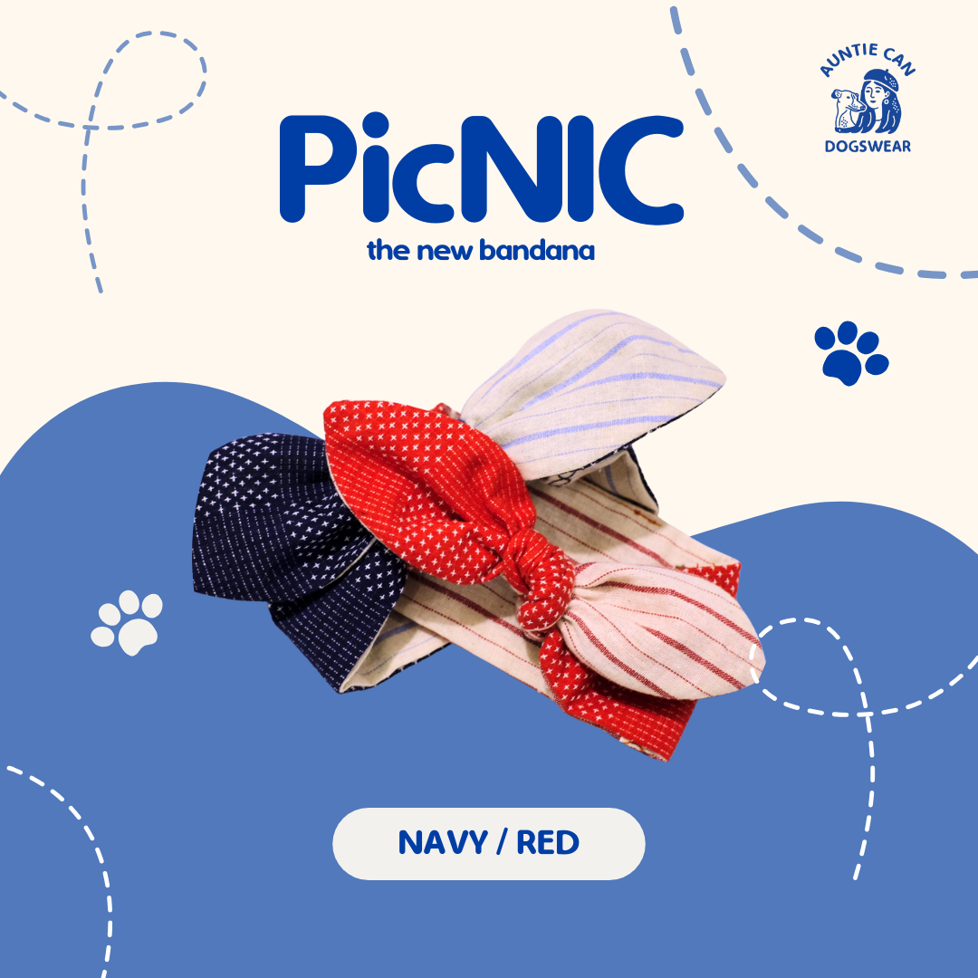 PicNic the bandana