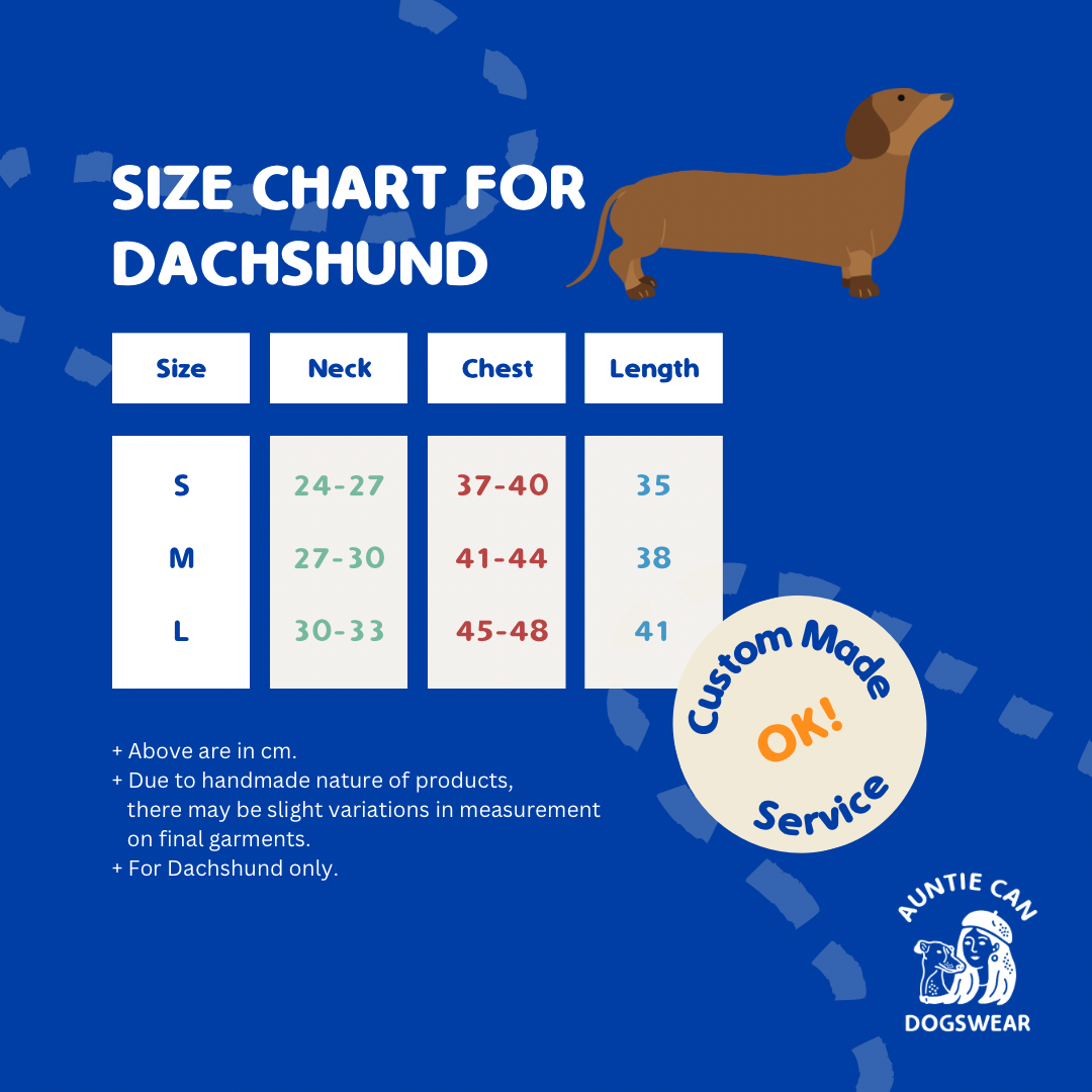 Zoomies Signature | Dachshund