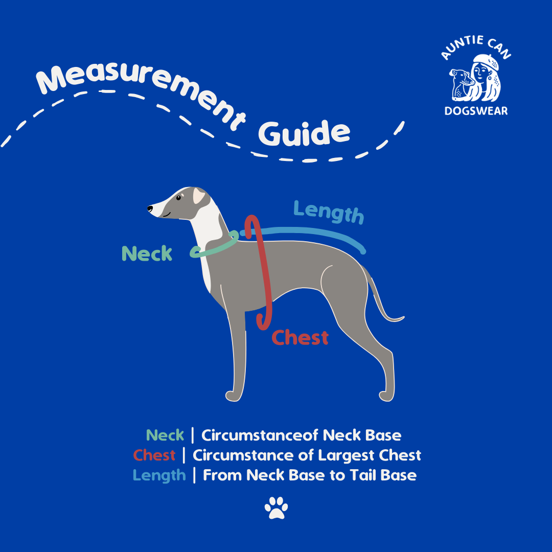 CAN-T STRIPES S | Italian Greyhound