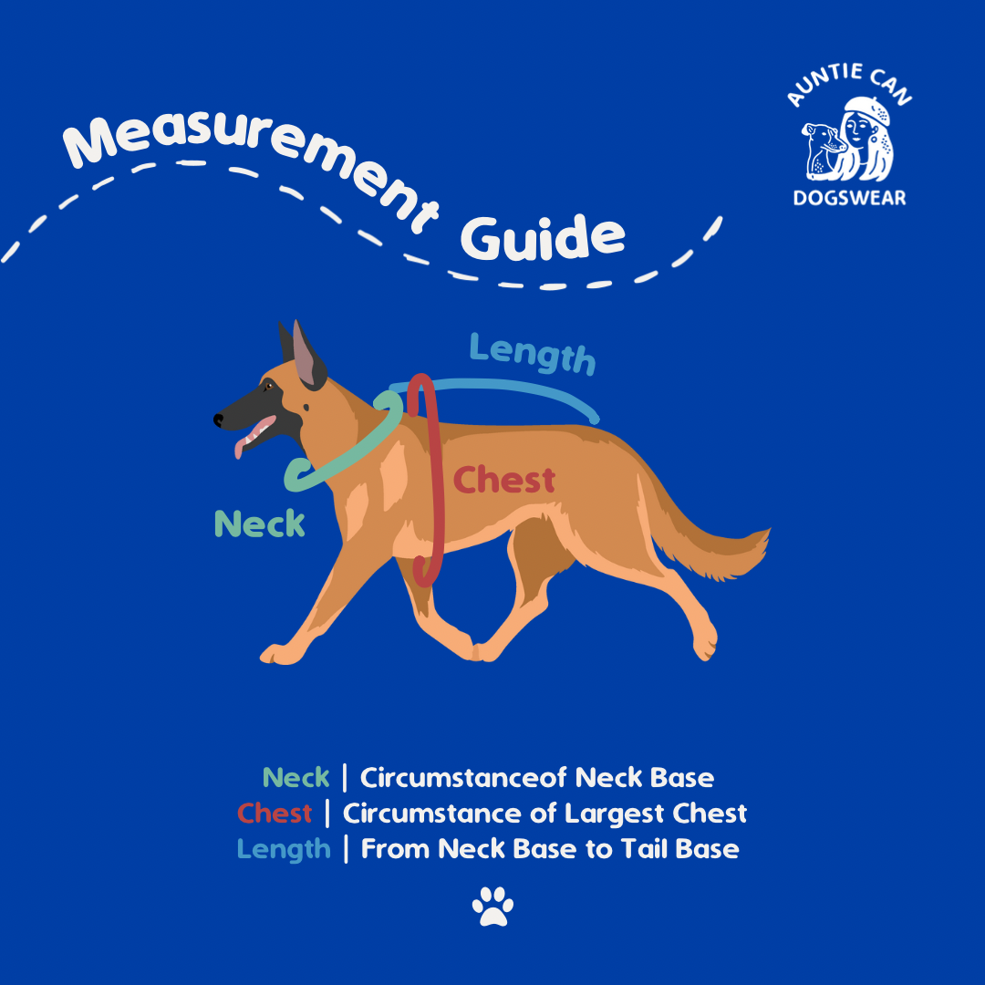 Can-T Daily Essential | Medium-Large Doggies