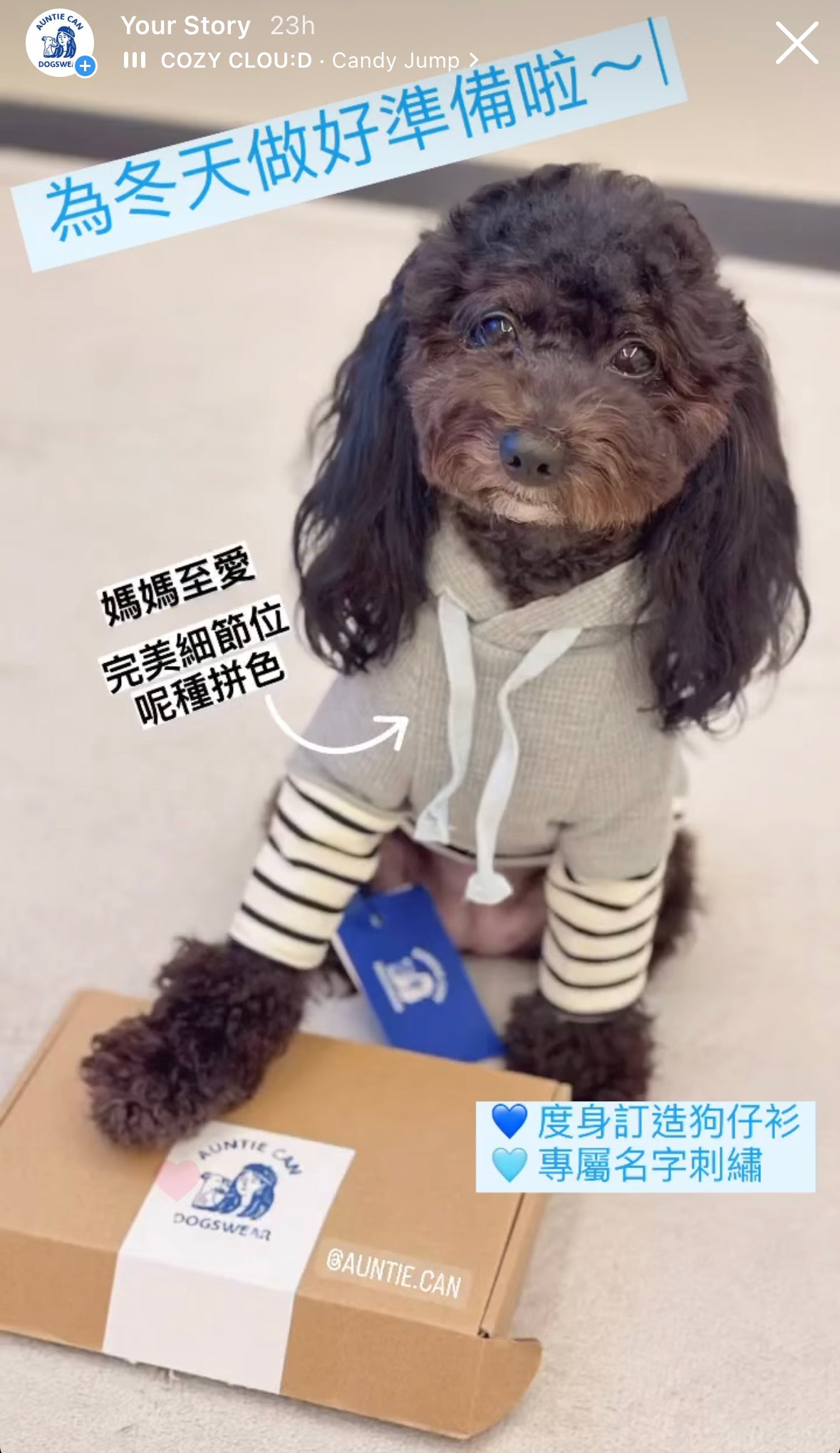 Waffle Hoodie | Dogswear