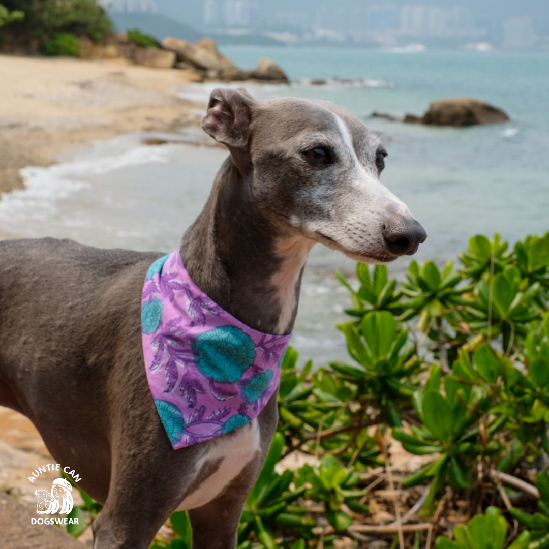 Bandana | Dogswear