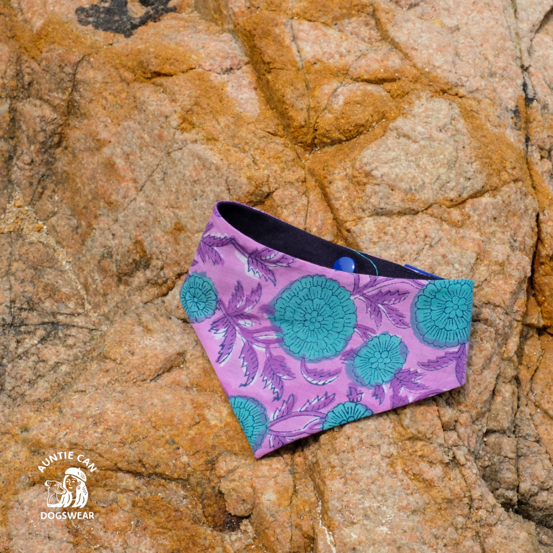 Auntie Can Dogswear Bandana on rock