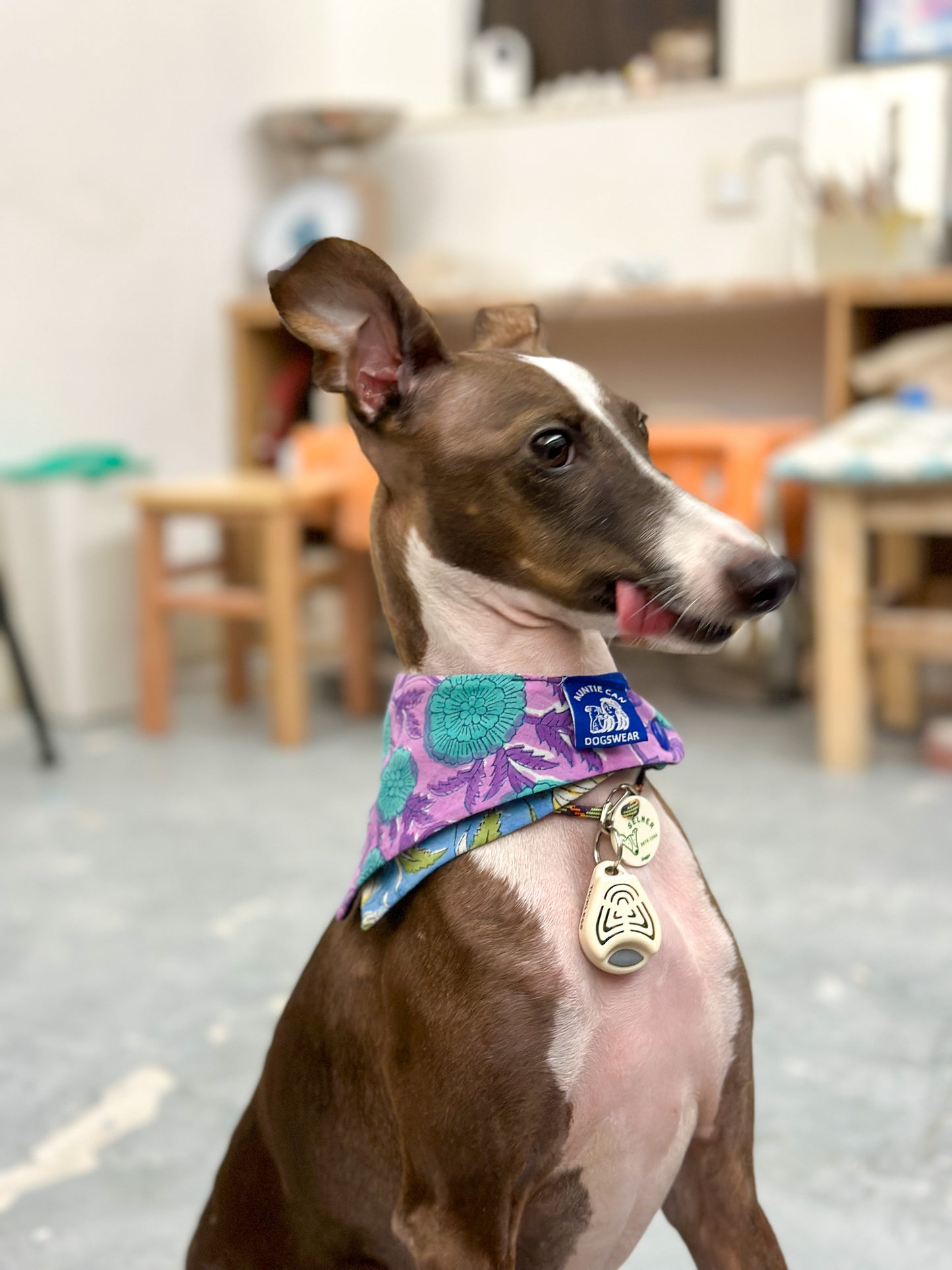 Bandana | Dogswear