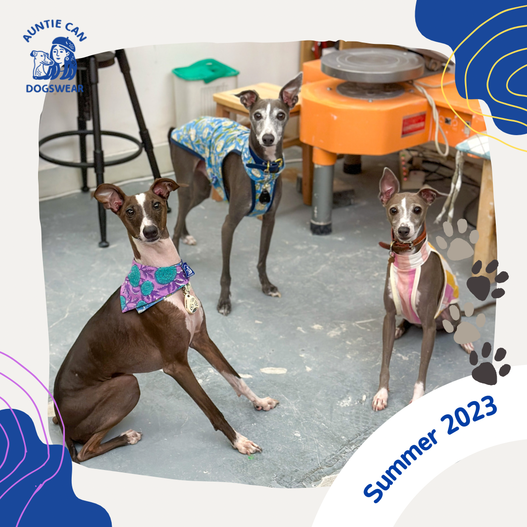 Bandana | Dogswear