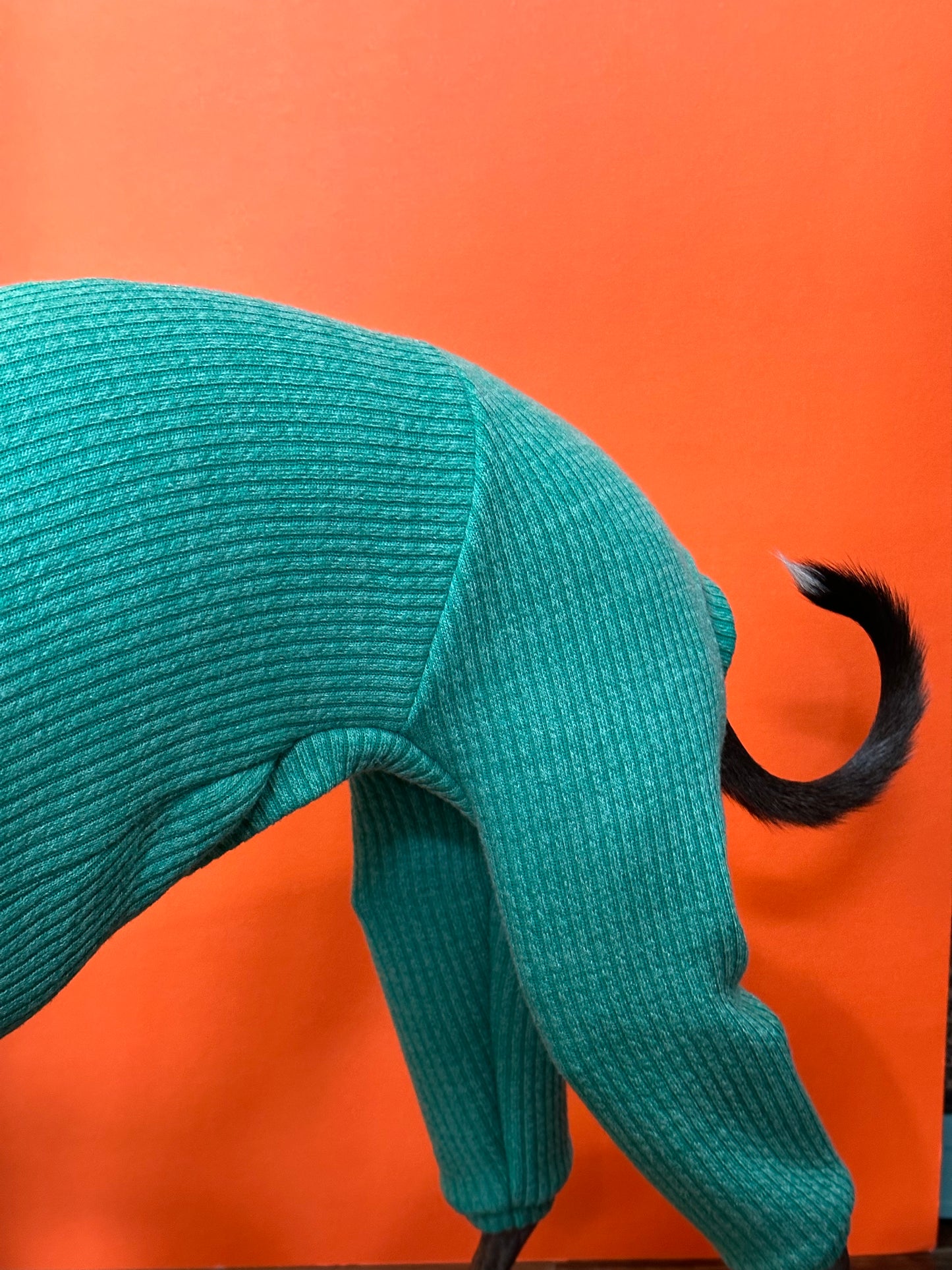 Snuggle the dog rompers - models close up