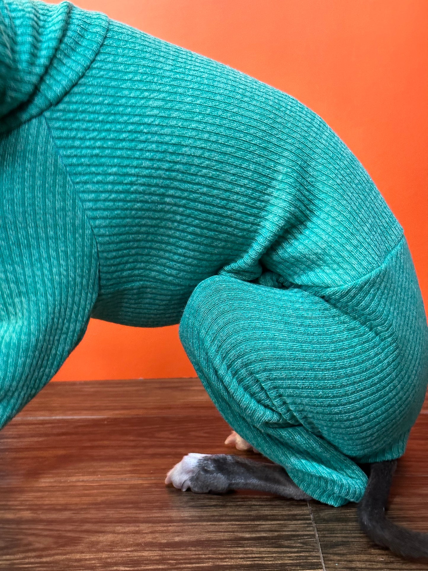 Snuggle the dog rompers - models close up