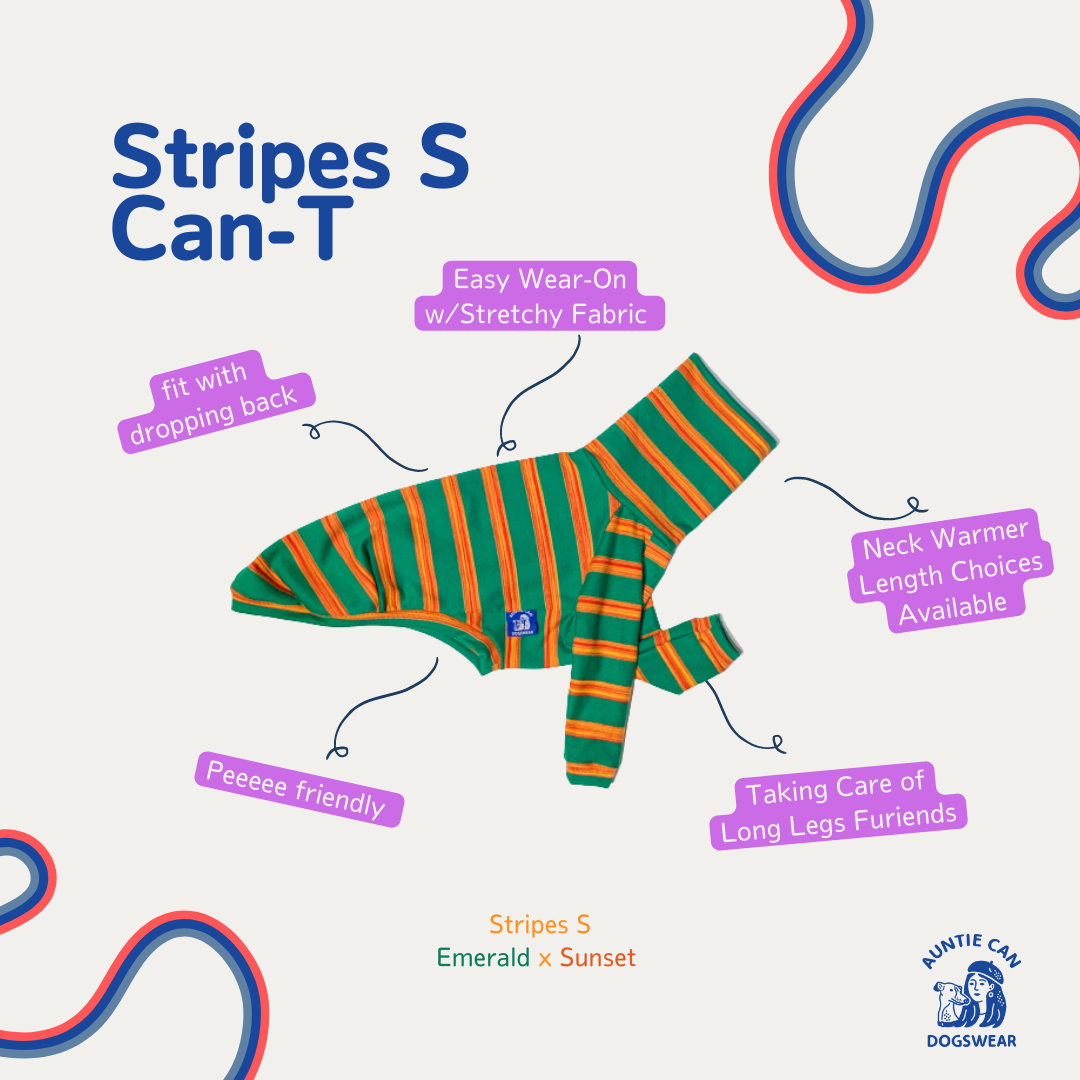 Can-T Auntie Can Dogswear - Stripes S Emerald x Sunset