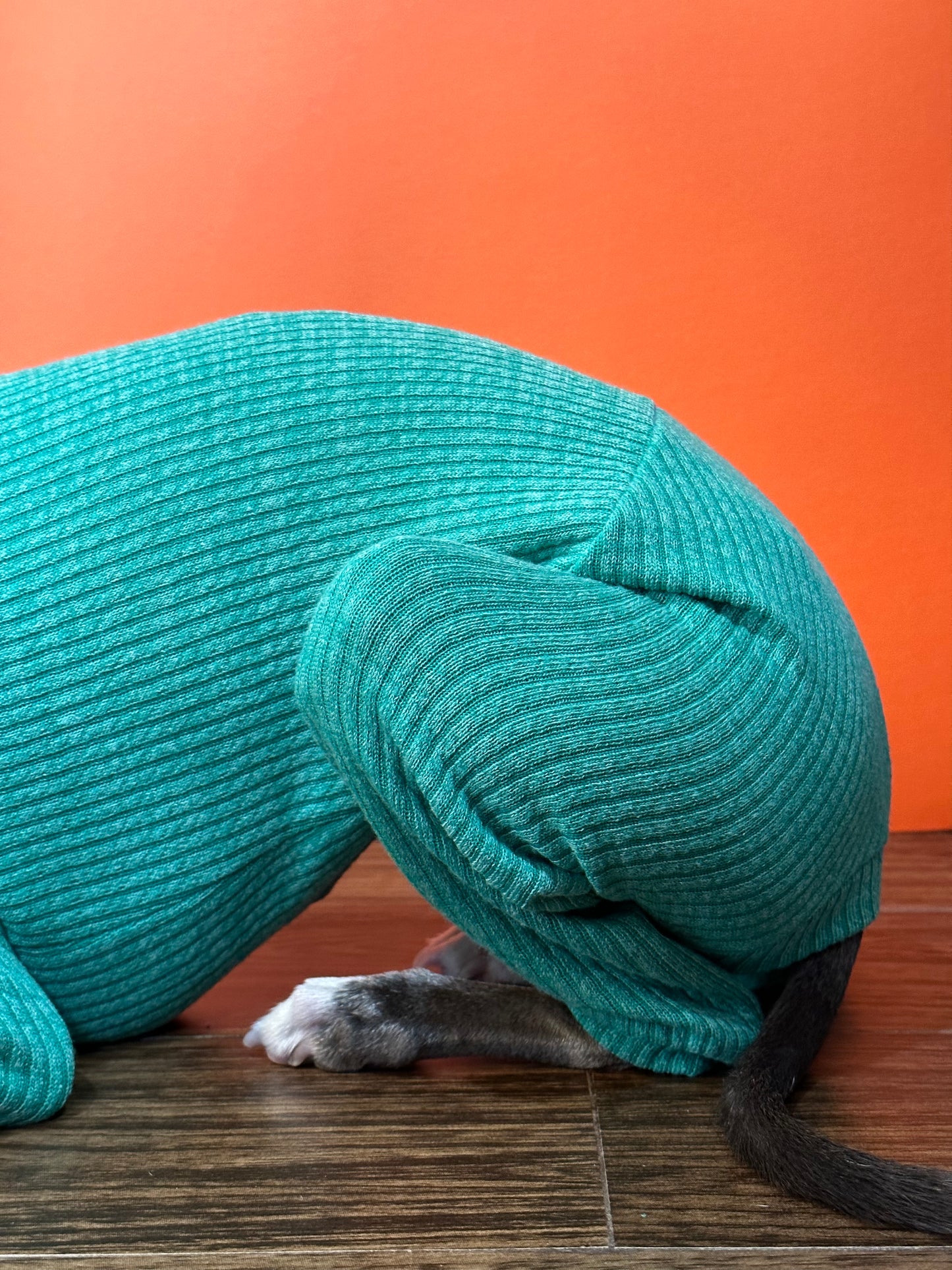 Snuggle the dog rompers - models close up