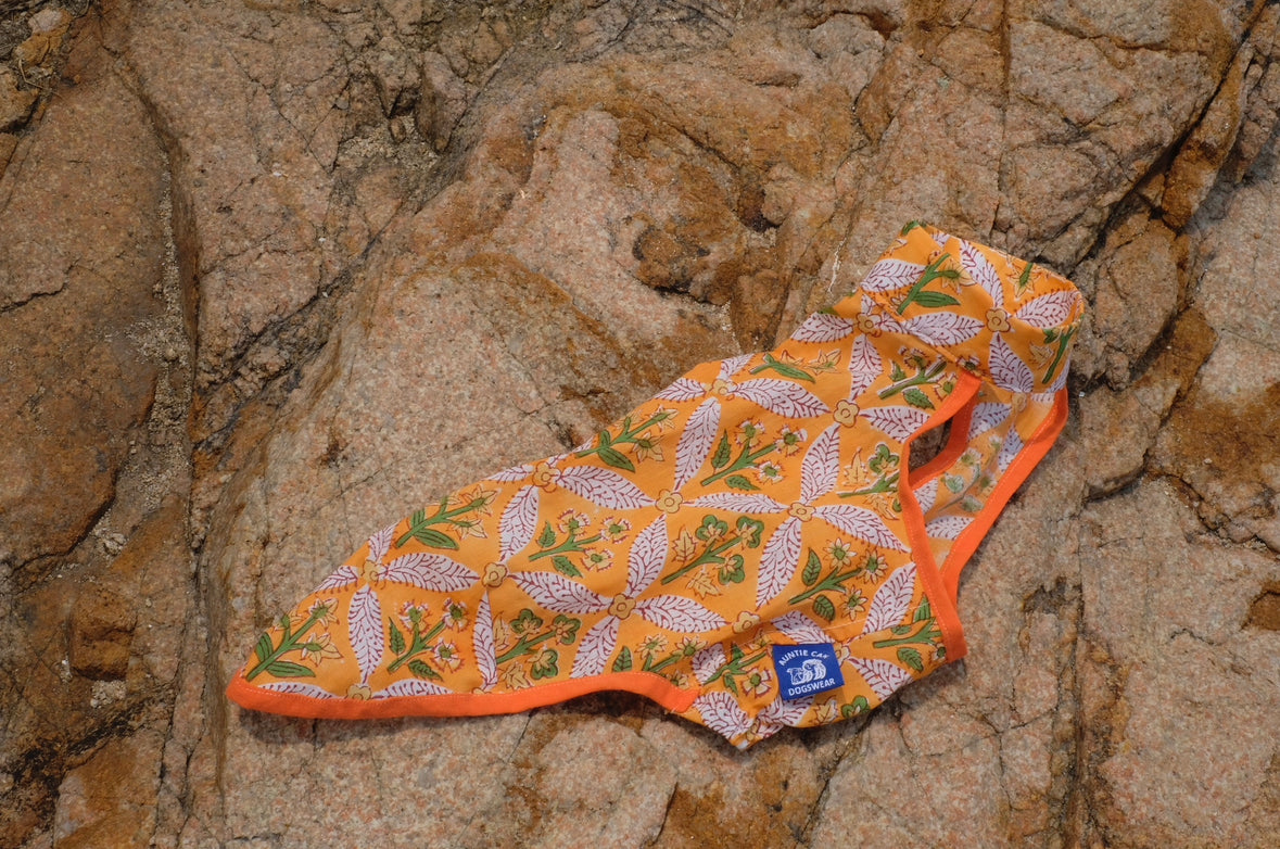 Offshore Summer Vest | Italian Greyhound