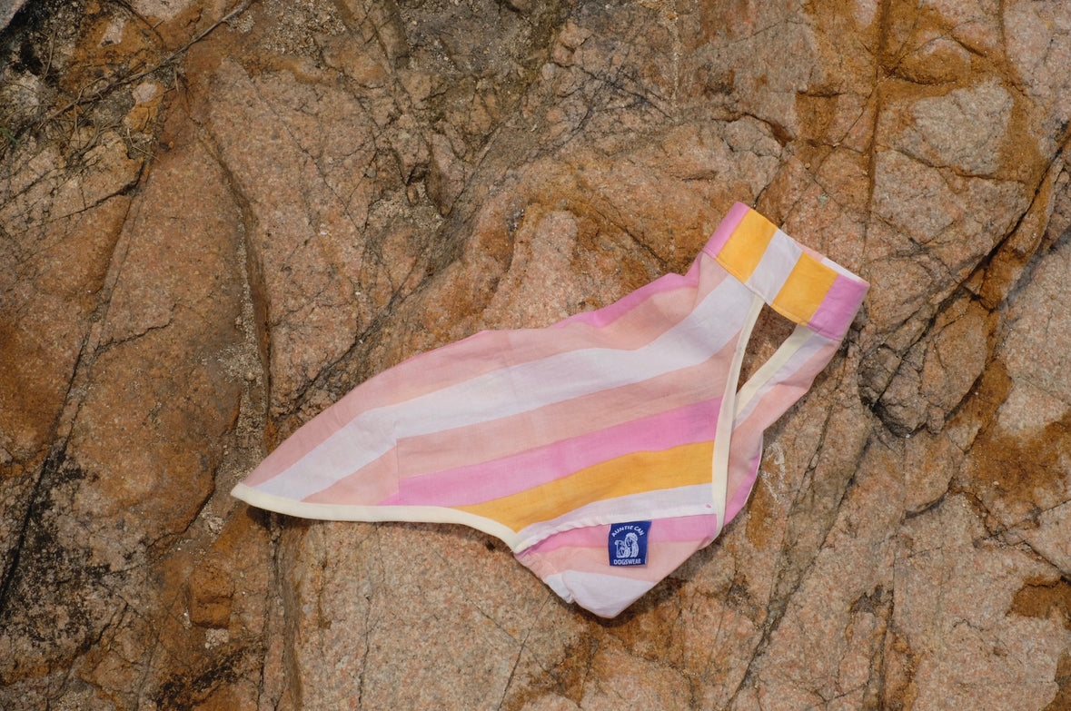 Offshore Summer Vest | Italian Greyhound