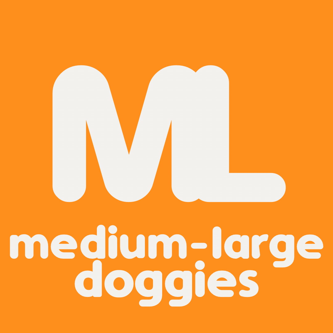 Medium & Large Doggies