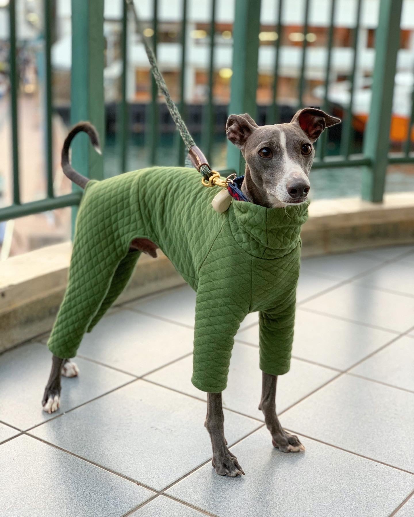 Quilt Cotton Jumpsuit| Italian Greyhound